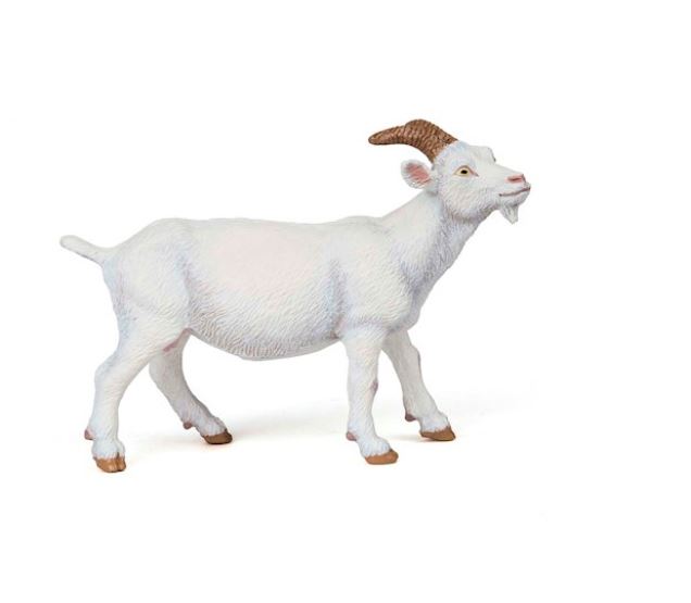 PAPO - WHITE GOAT #51144
