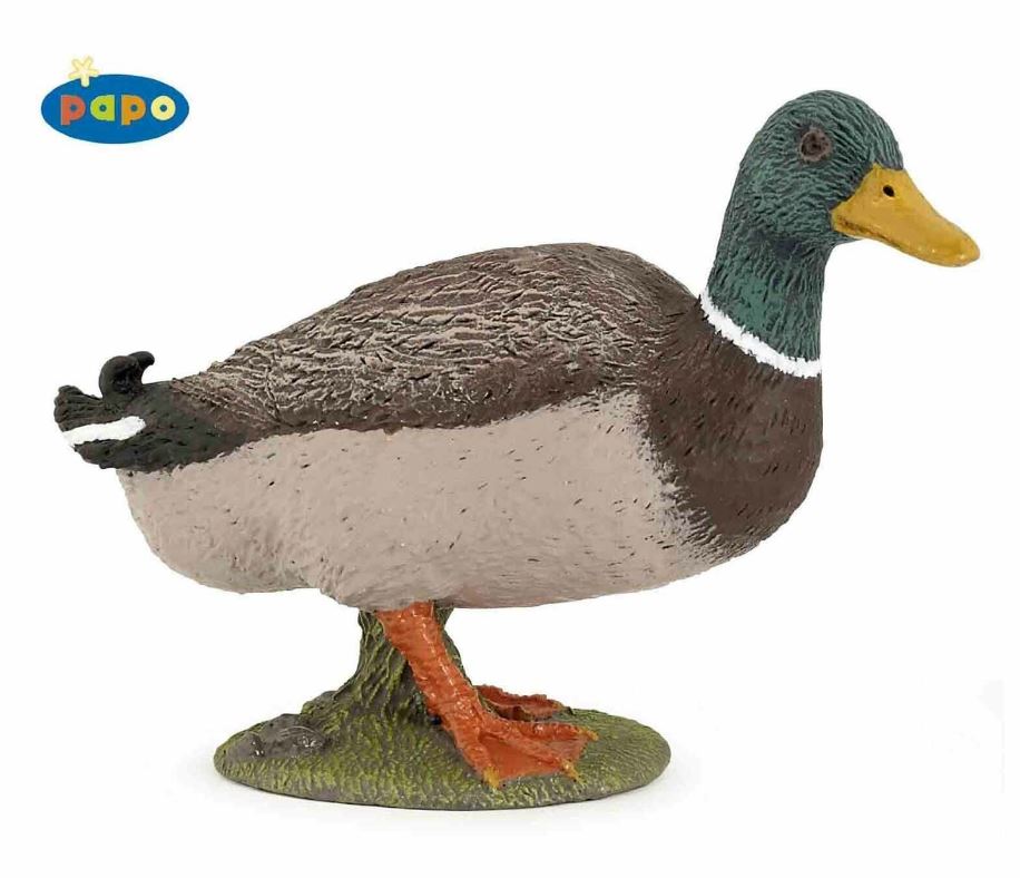PAPO - CANARD COLVERT #51155
