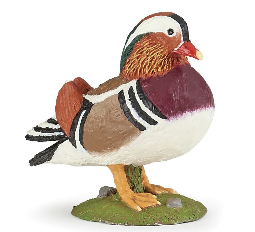 PAPO - MANDARIN DUCK #51166