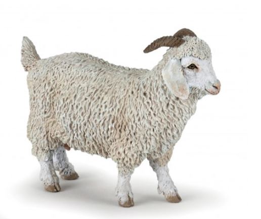 PAPO - CHÈVRE ANGORA #51170