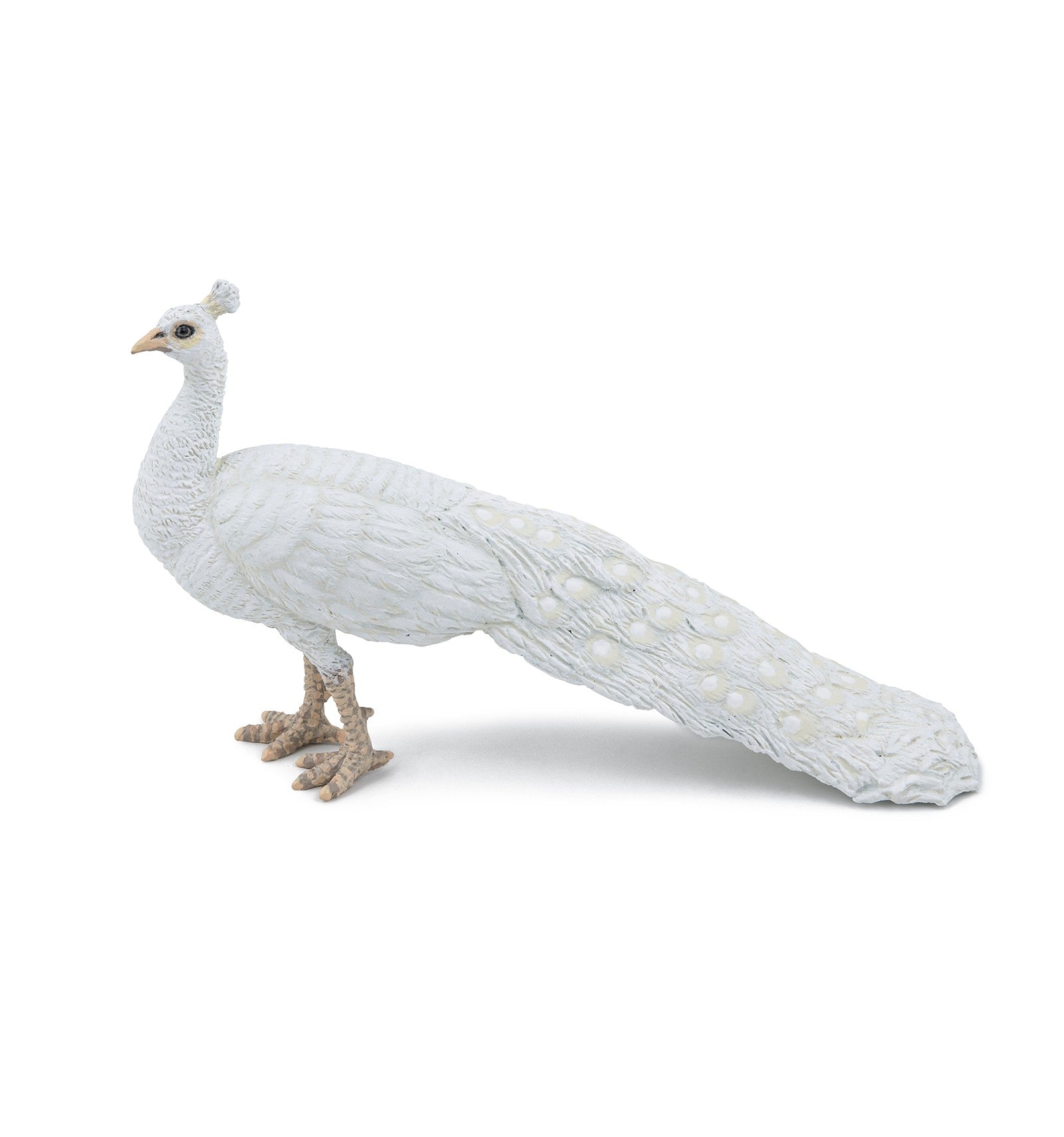 PAPO - PAON BLANC #51192