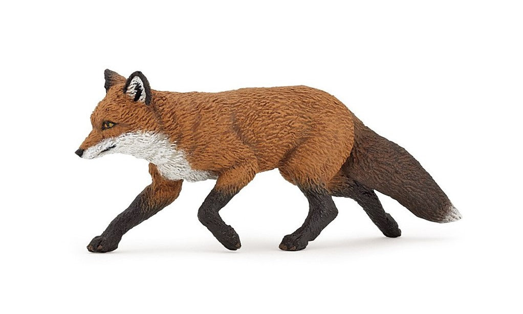 PAPO - RENARD #53020