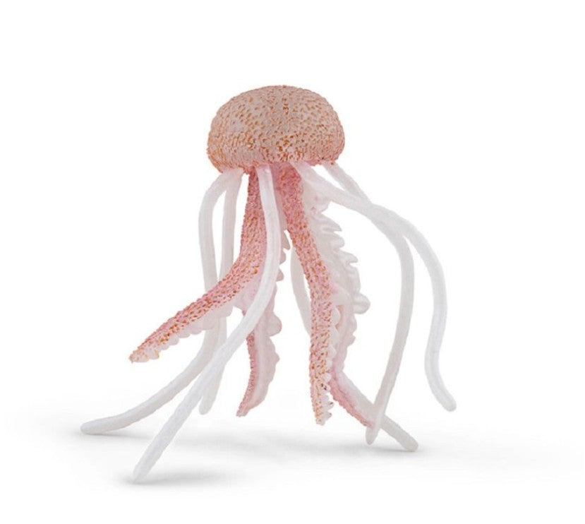 PAPO - JELLYFISH #56018