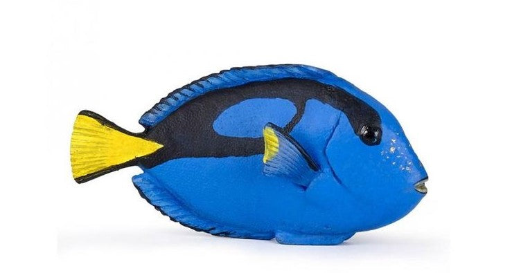 PAPO - POISSON CHIRURGIEN #56024
