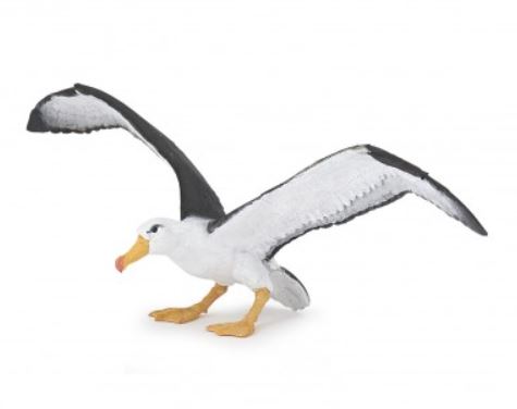 PAPO - ALBATROSS #56038