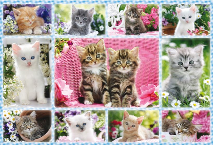SCHMIDT CASSE-TÊTE 100 PIÈCES - CHATONS #56135