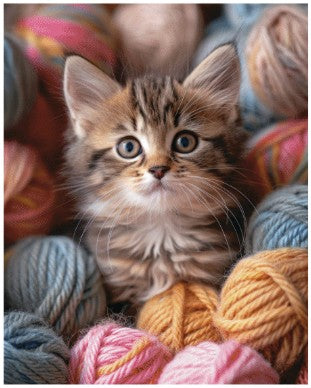 PRINTED MICROVISION THROW 48X60 KITTEN