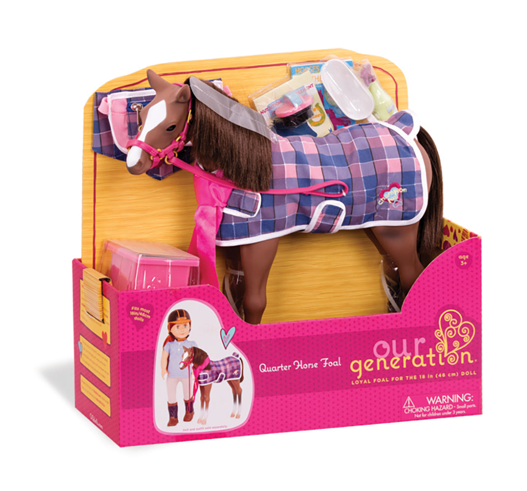 CHAVEL OG - BROWN QUARTER HORSE FOAL