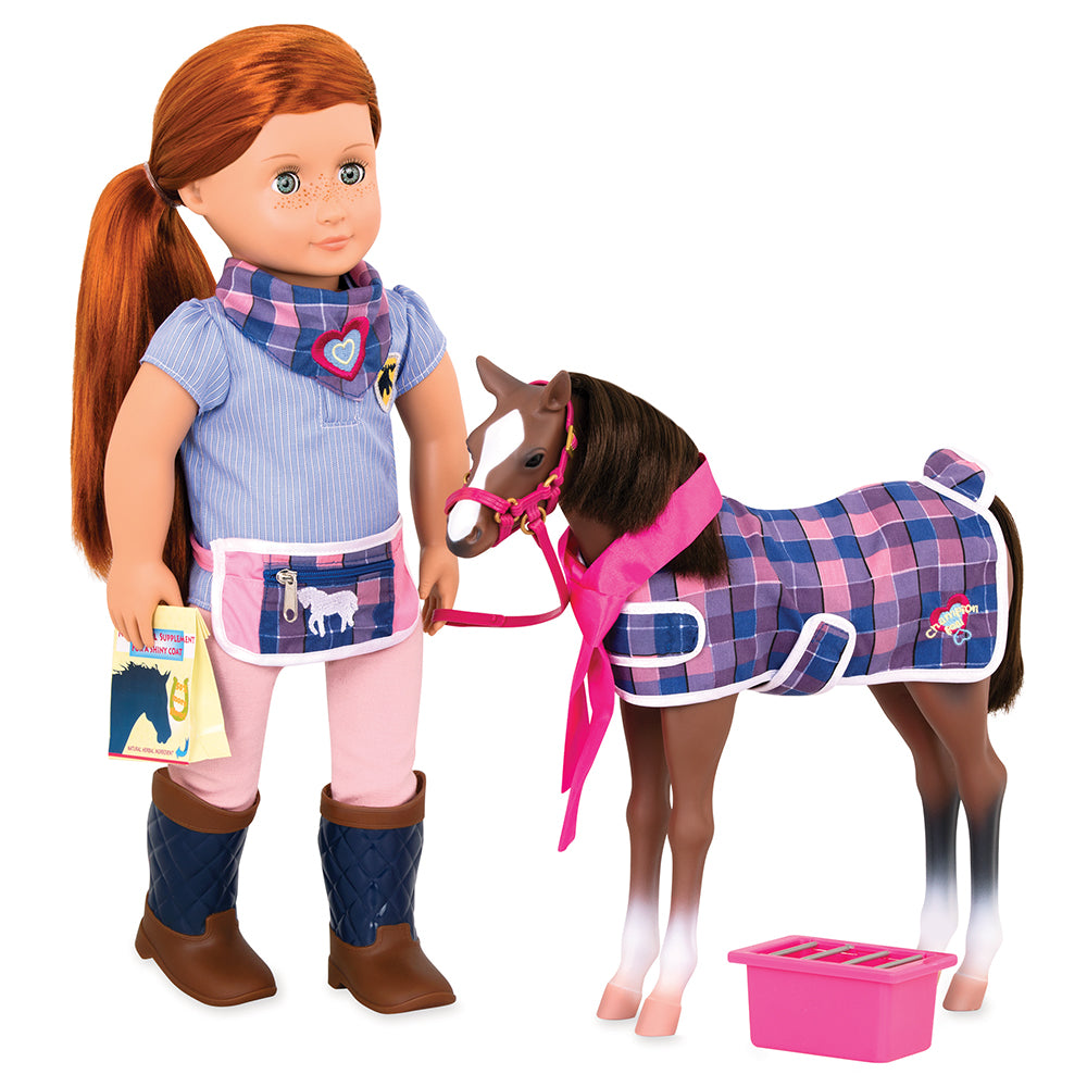 CHAVEL OG - BROWN QUARTER HORSE FOAL