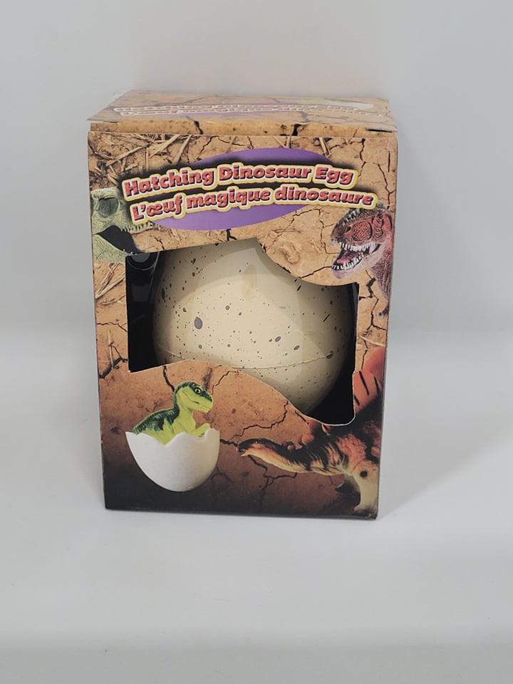HATCHING DINOSAUR EGG LARGE SIZE (MAKE SURE TO PICK THE RIGHT ONE)