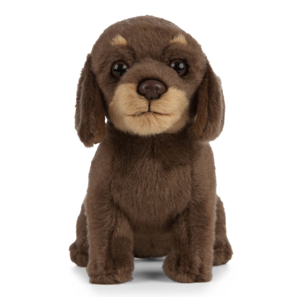 PELUCHE LIVING NATURE - CHIOT TECKEL