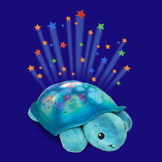 Shimmering Aqua Turtle