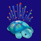 Shimmering Aqua Turtle