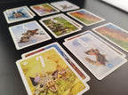 PIXIES GAME (FR-EN)