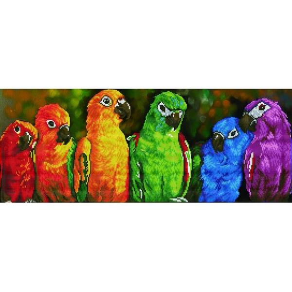*** // DIAMOND DOTZ  PERROQUETS ARC-EN-CIEL- DIAMOND PAINTING - PEINTURE À DIAMOND