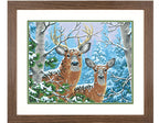 PEINTURE À NUMÉROS 14 X 11 - L'HIVER DES CERFS DE VIRGINIE (MOYENNE)