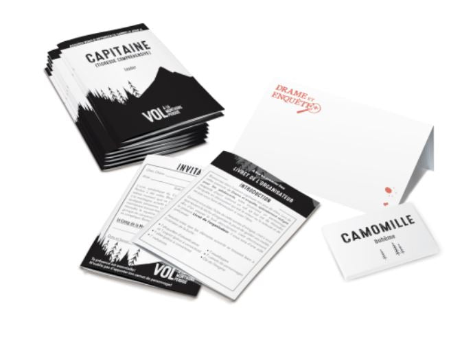JEU DRAME ET ENQUÊTE – VOL À LA MONTAGNE PERDUE