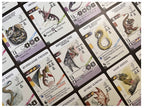 WYRMSPAN GAME - THE DRAGON ACADEMY EXPANSION