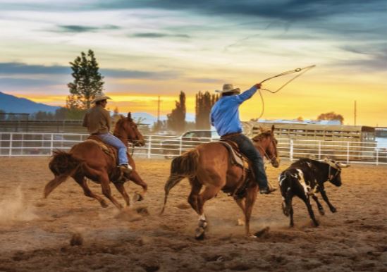 PLUS1PUZZLE 1001-PIECE JIGSAW PUZZLE - CALF ROPING #P1P13812