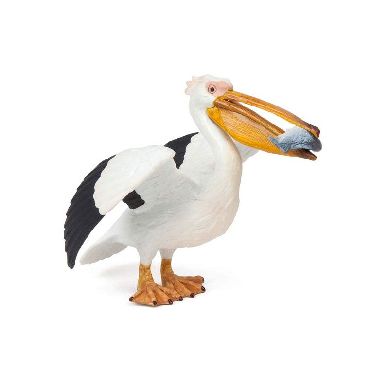 PAPO - PELICAN #56009