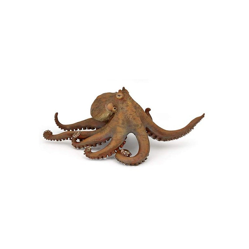 PAPO - OCTOPUS #56013