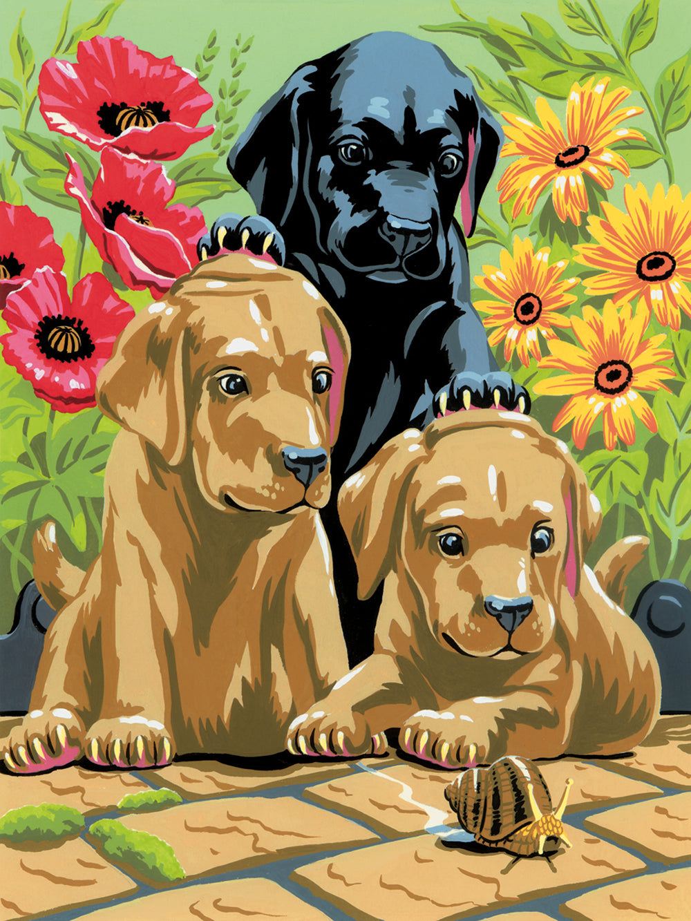 PEINTURE À NUMÉROS JUNIOR SMALL - CHIOTS LABRADOR