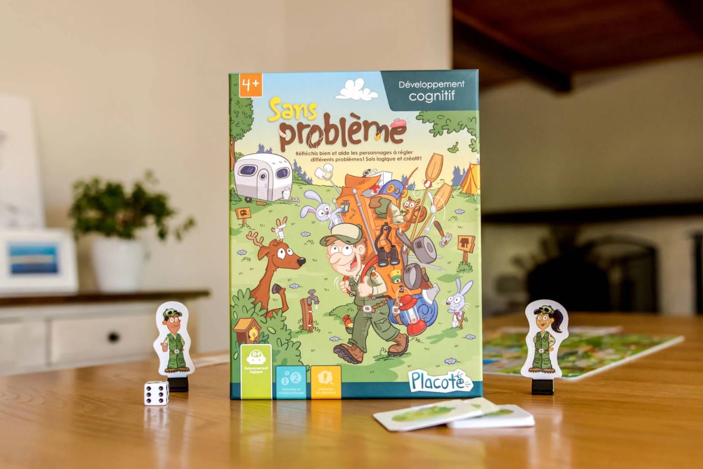 JEU PLACOTE - SANS PROBLÈME PV21