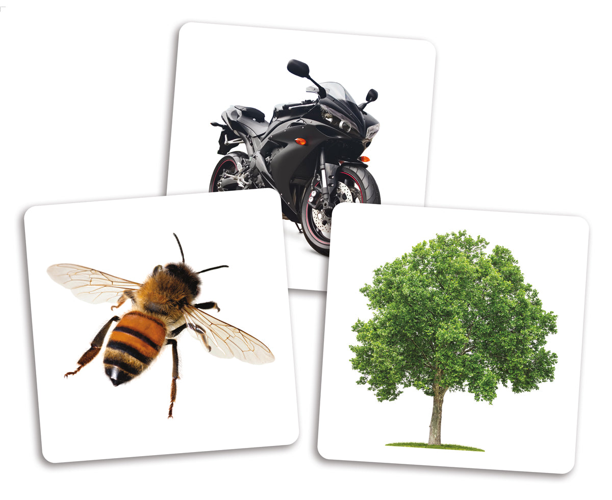 JEU PLACOTE - LE DÉ DES PREMIERS MOTS - CARTES SUPPLÉMENTAIRES