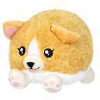 PELUCHE - SNACKERS BÉBÉ CORGI