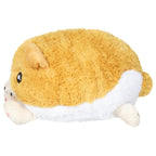 PELUCHE - SNACKERS BÉBÉ CORGI