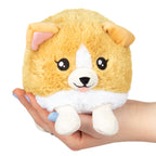 PELUCHE - SNACKERS BÉBÉ CORGI