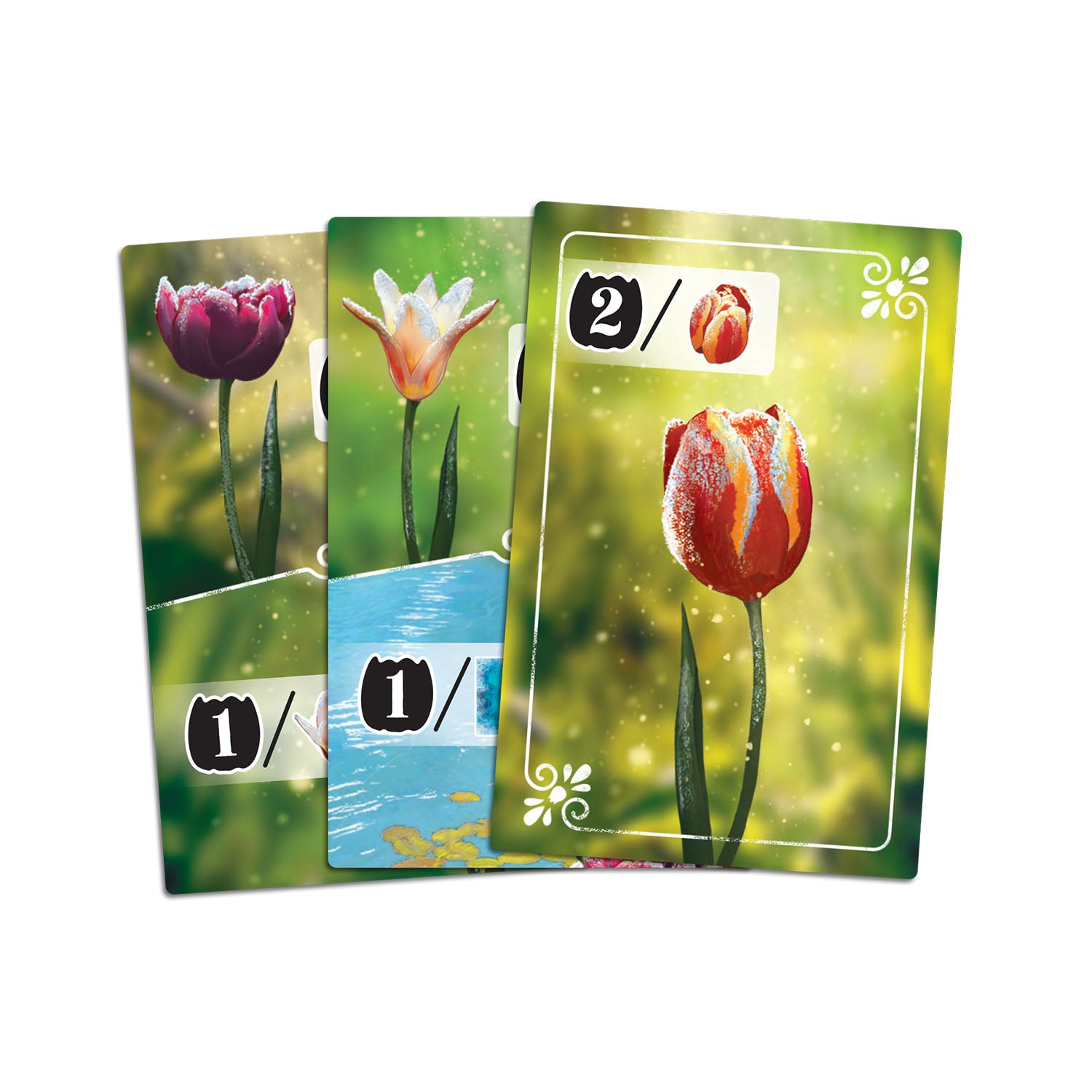 JEU FROSTED BLOOMS
