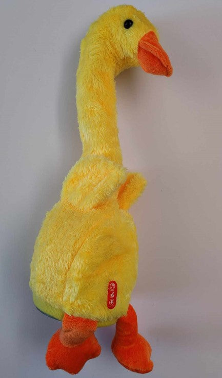 CANARD DANSANT AVEC LUMIÈRES ET MUSIQUE