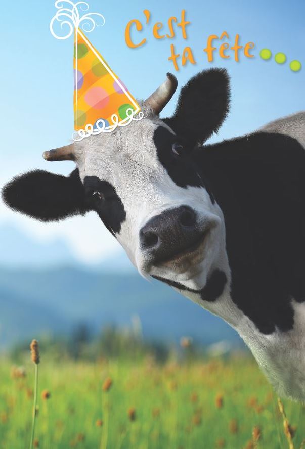 BIRTHDAY CARD - IT'S YOUR PARTY... - FROM MILLBROOK