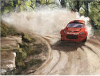 RALLYMAN: DIRT GAME