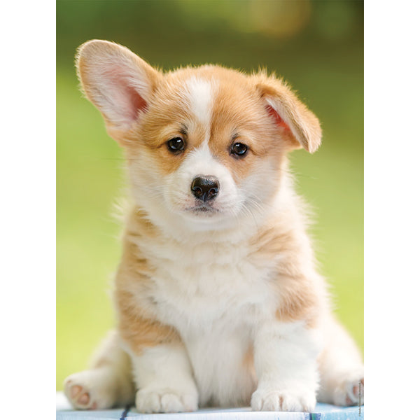 NATHAN JIGSAW PUZZLE 500 PIECES - ADORABLE CORGI #76-00961