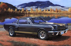 MODEL TO GLUE - SHELBY MUSTANG GT 350 H LEVEL #3