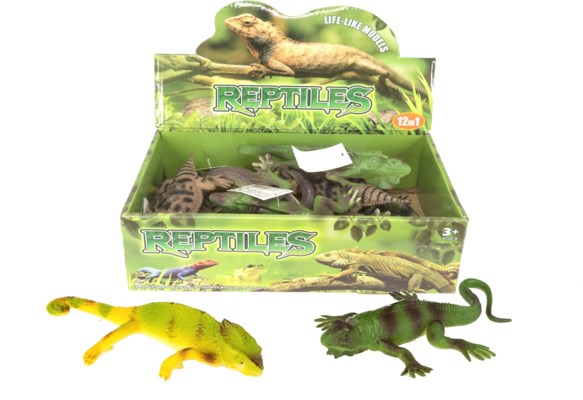 ASSORT LEZARDS