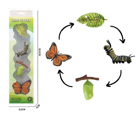 FIGURINE ÉVOLUTIF DE PAPILLON