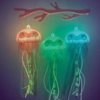 NEBULOUS STARS - MÉDUSES LUMINESCENTES - CORALIA