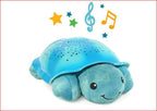 Shimmering Aqua Turtle