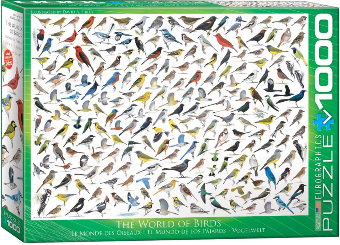 EUROGRAPHICS CASSE-TÊTE 1000 PIÈCES - LE MONDE DES OISEAUX (DAVID SIBLEY)