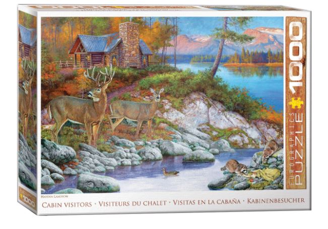 EUROGRAPHICS CASSE-TÊTE 1000 PIÈCES - VISITEURS DE CABINE #6000-5875