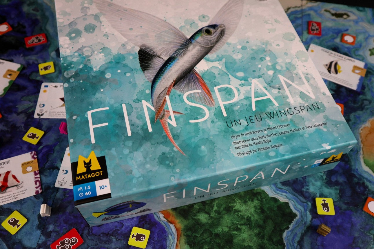 JEU FINSPAN