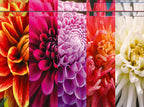 JIGSAW PUZZLE 750 OR 1000 PIECES - COLORFUL COLLAGES ASST