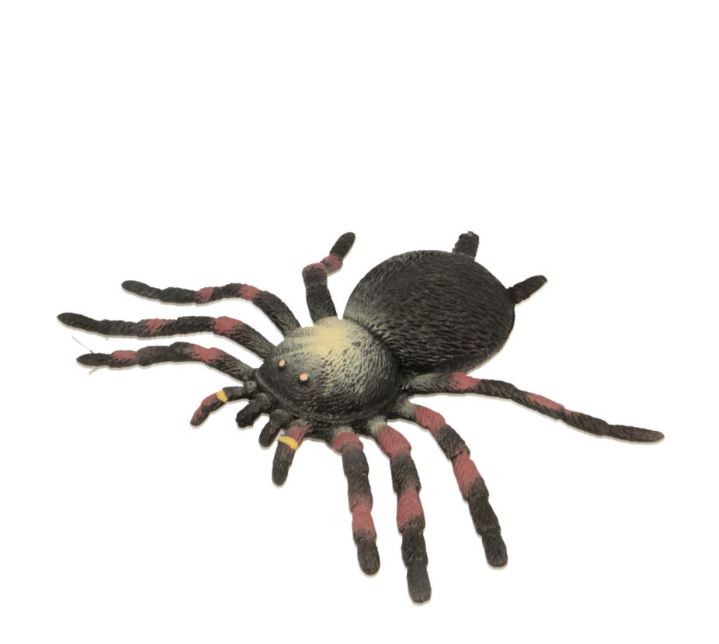 STRETCHING TARANTULA