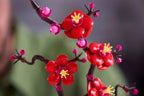 LEGO BOTANICAL COLLECTION - PLUM BLOSSOM #10369