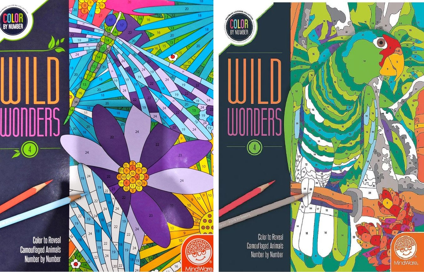 ADULT COLORING BOOK - COLOR BY NUMBERS - VOLUME 4 (ENGLISH) ASST