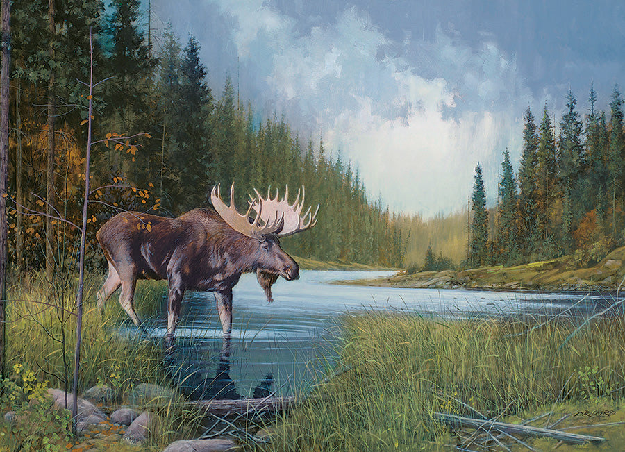 COBBLE HILL CASSE-TÊTE 1000 PIÈCES - LAC MOOSE #40196