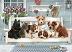 COBBLE HILL JIGSAW PUZZLE 350 PIECES - FRIENDS (FAMILY PUZZLE) #47006